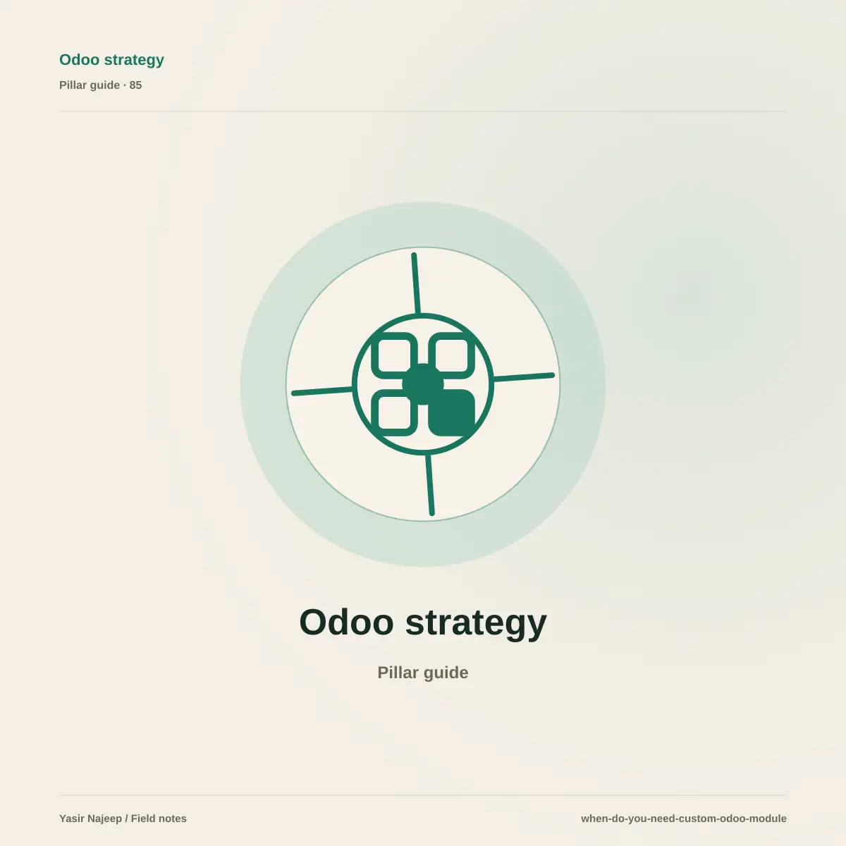 When do you actually need a custom Odoo module?